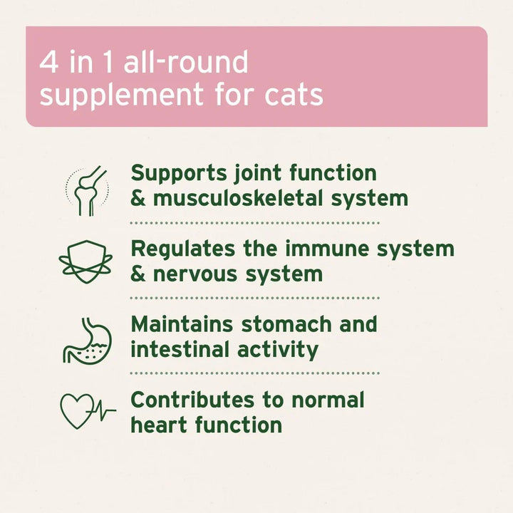 Aniforte 4in1 Complete for Cats - 60g