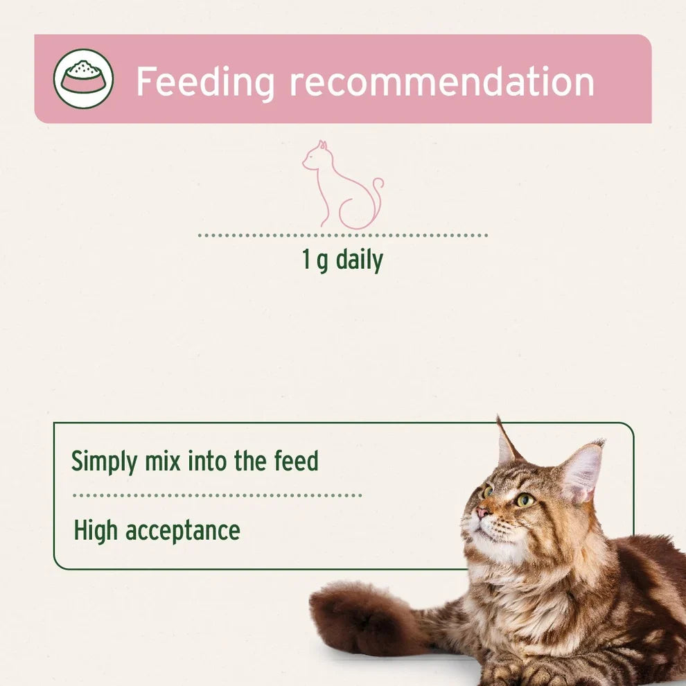 Aniforte 4in1 Complete for Cats - 60g