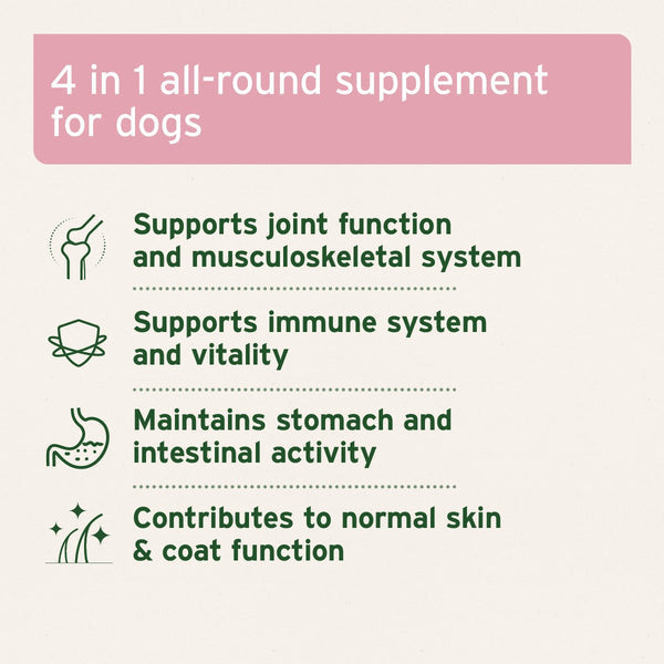 Aniforte 4in1 Complete for Dogs 250g