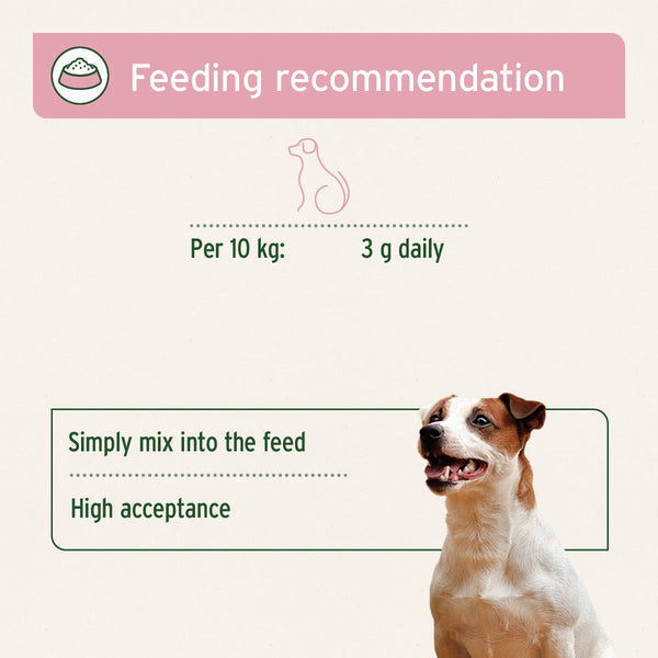 Aniforte 4in1 Complete for Dogs 250g