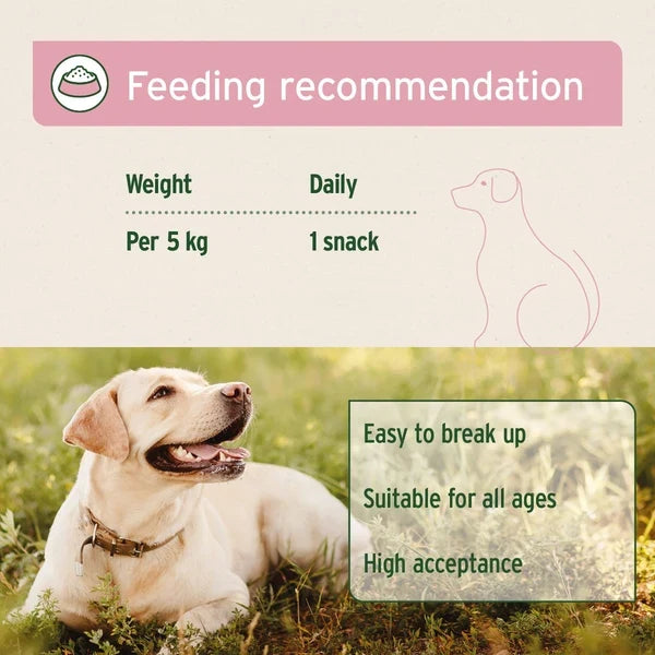 Aniforte 4in1 Snacks