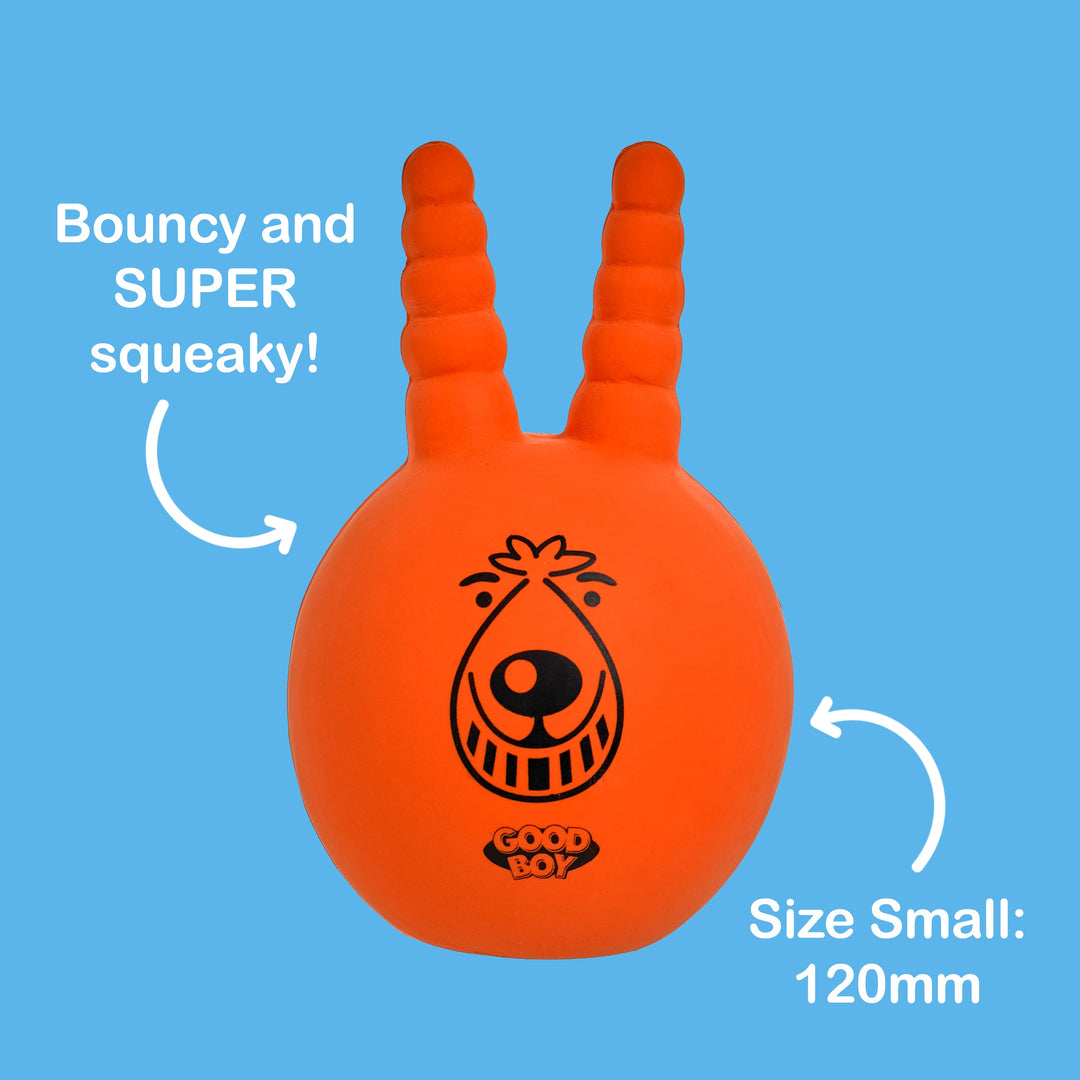 Good Boy Mini Space Lobber