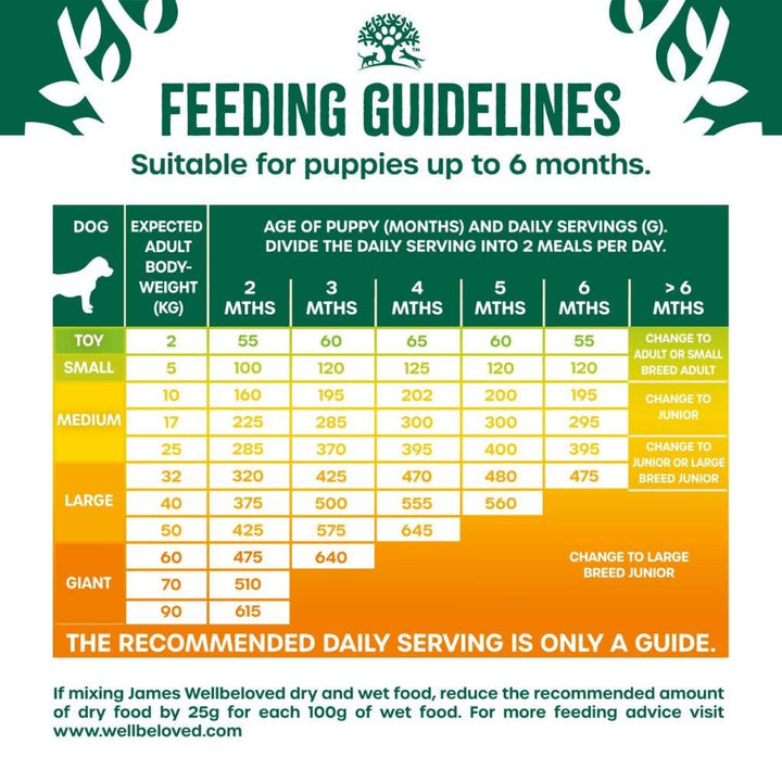 James Wellbeloved Puppy Lamb & Rice 2Kg