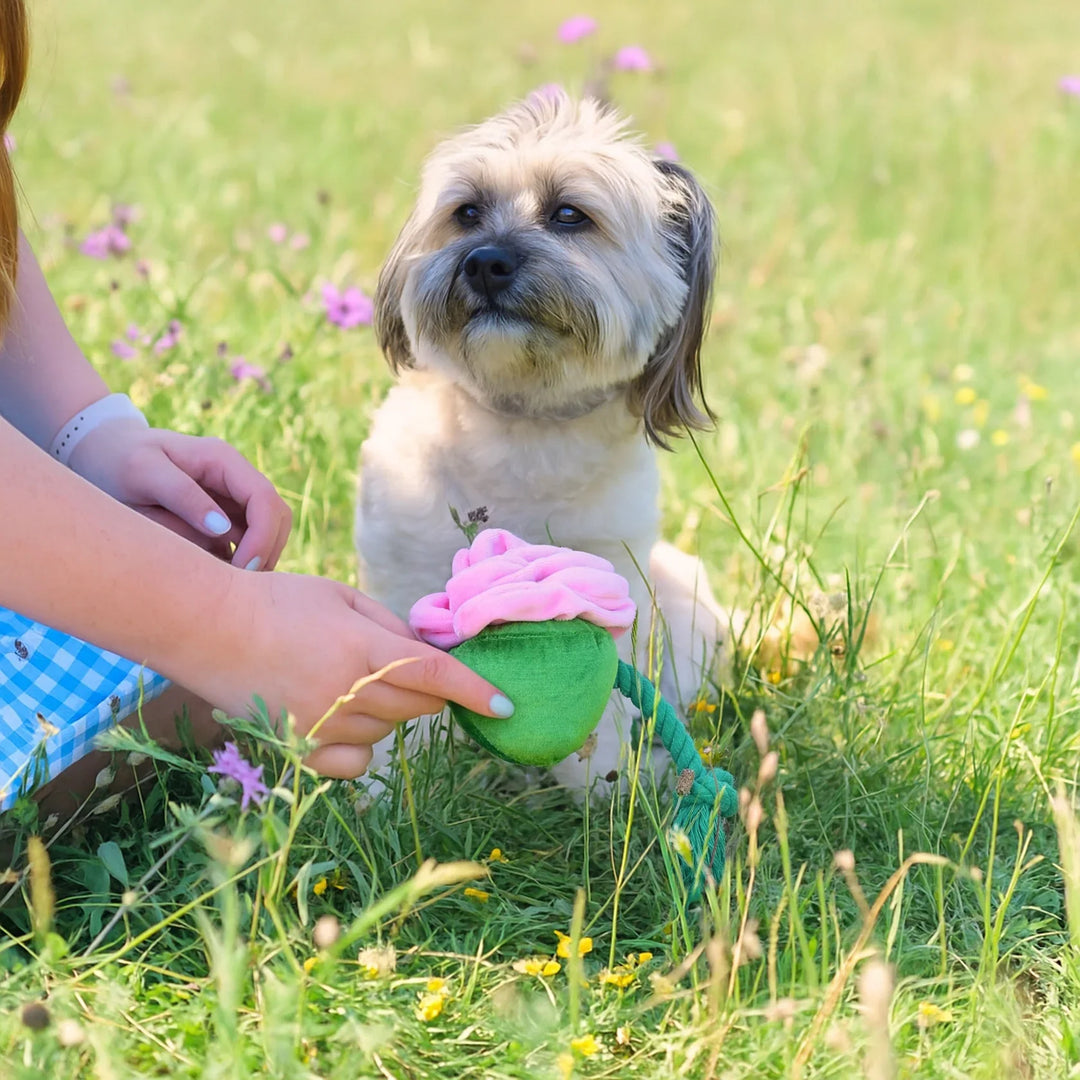 Cath Kidston Dolly Rose Rope Toy