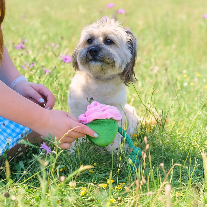 Cath Kidston Dolly Rose Rope Toy