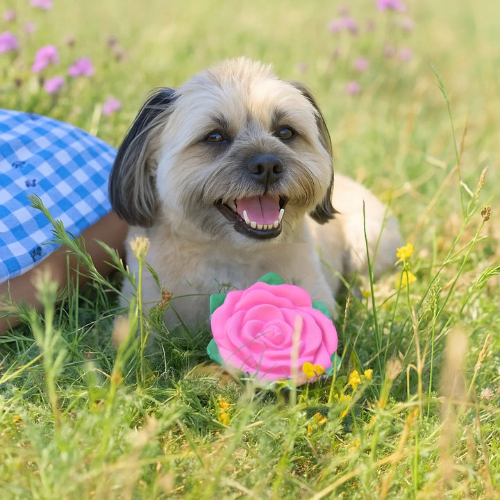 Cath Kidston Dolly Rose Latex Rose Ball