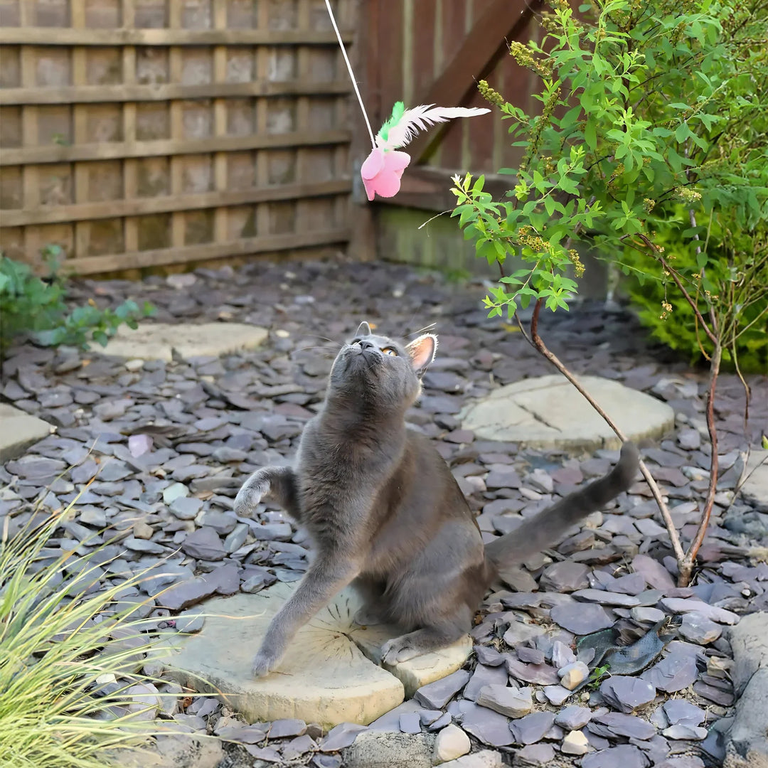 Cath Kidston Dolly Rose Single Rose Cat Teaser
