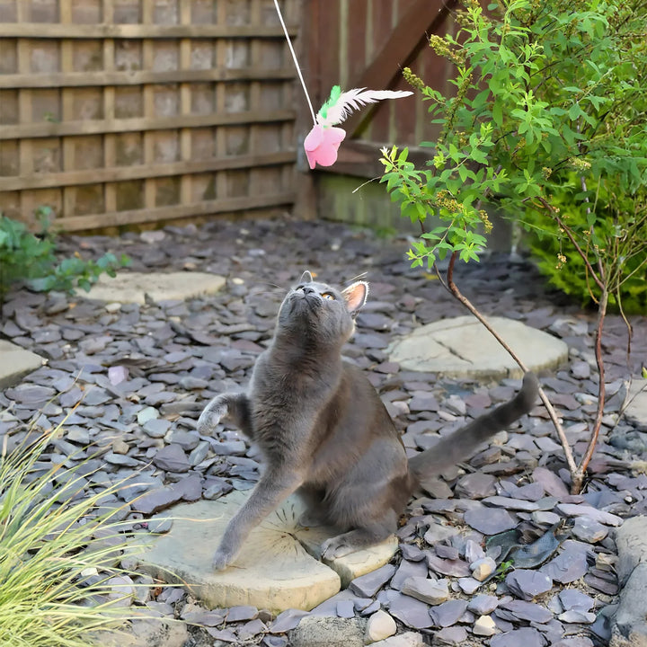 Cath Kidston Dolly Rose Single Rose Cat Teaser