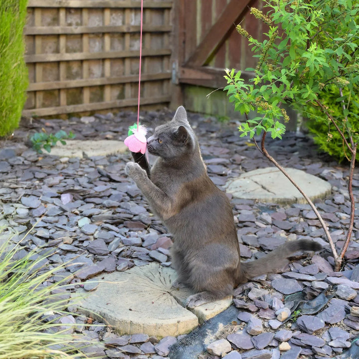 Cath Kidston Dolly Rose Single Rose Cat Teaser