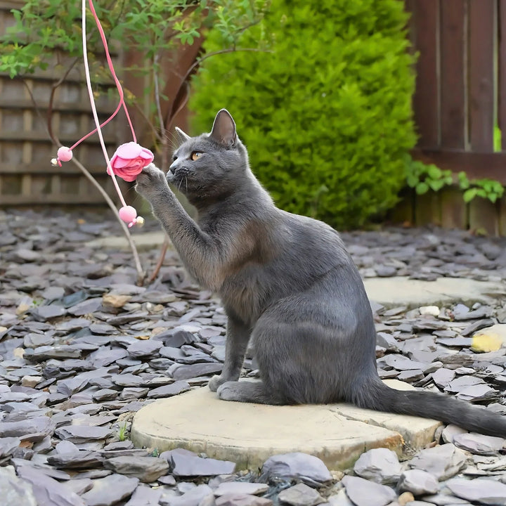 Cath Kidston Dolly Rose Double Rose Cat Teaser