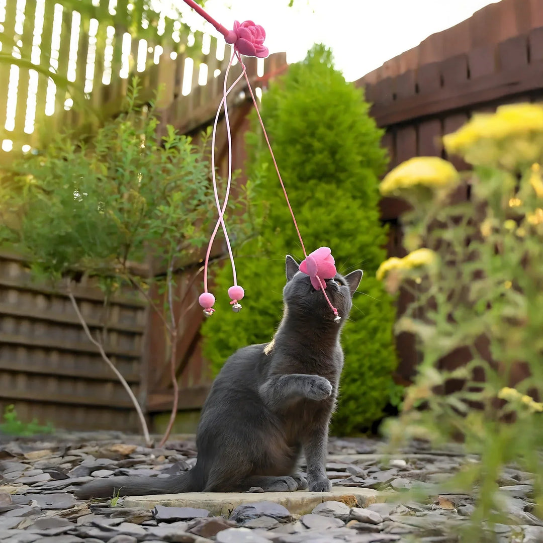 Cath Kidston Dolly Rose Double Rose Cat Teaser