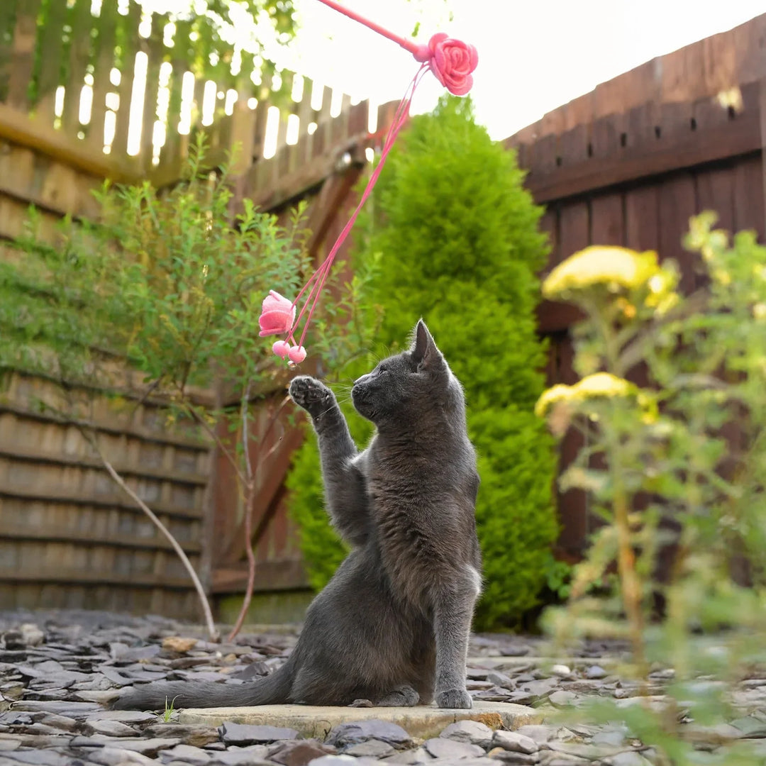 Cath Kidston Dolly Rose Double Rose Cat Teaser