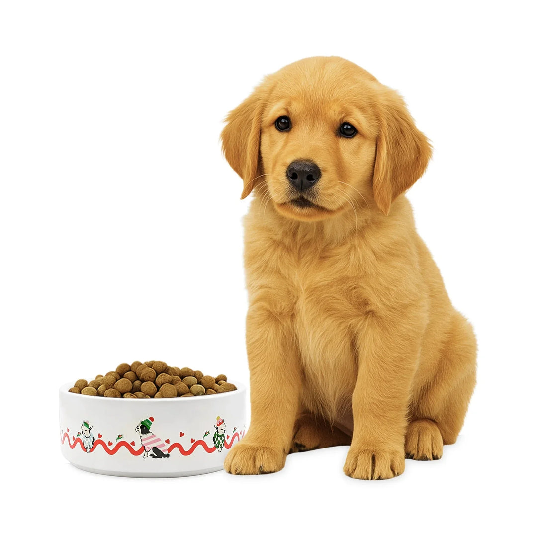 Cath Kidston Hearts & Roses Ceramic Pet Bowl