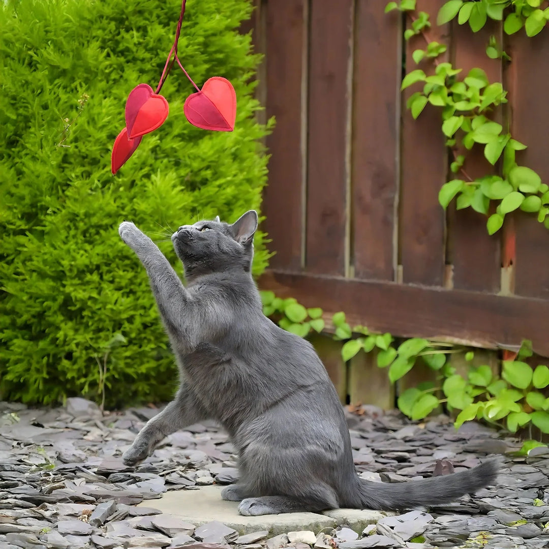 Cath Kidston Hearts &amp; Roses 3 Hearts Cat Teaser