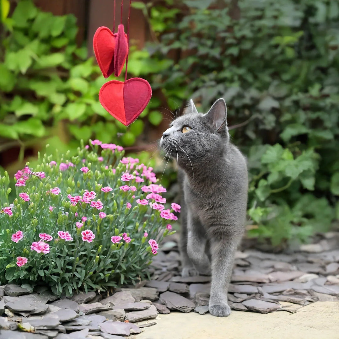 Cath Kidston Hearts &amp; Roses 3 Hearts Cat Teaser