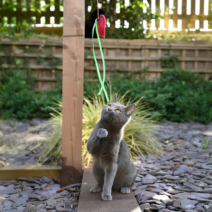 Cath Kidston Hearts & Roses Cat Teaser