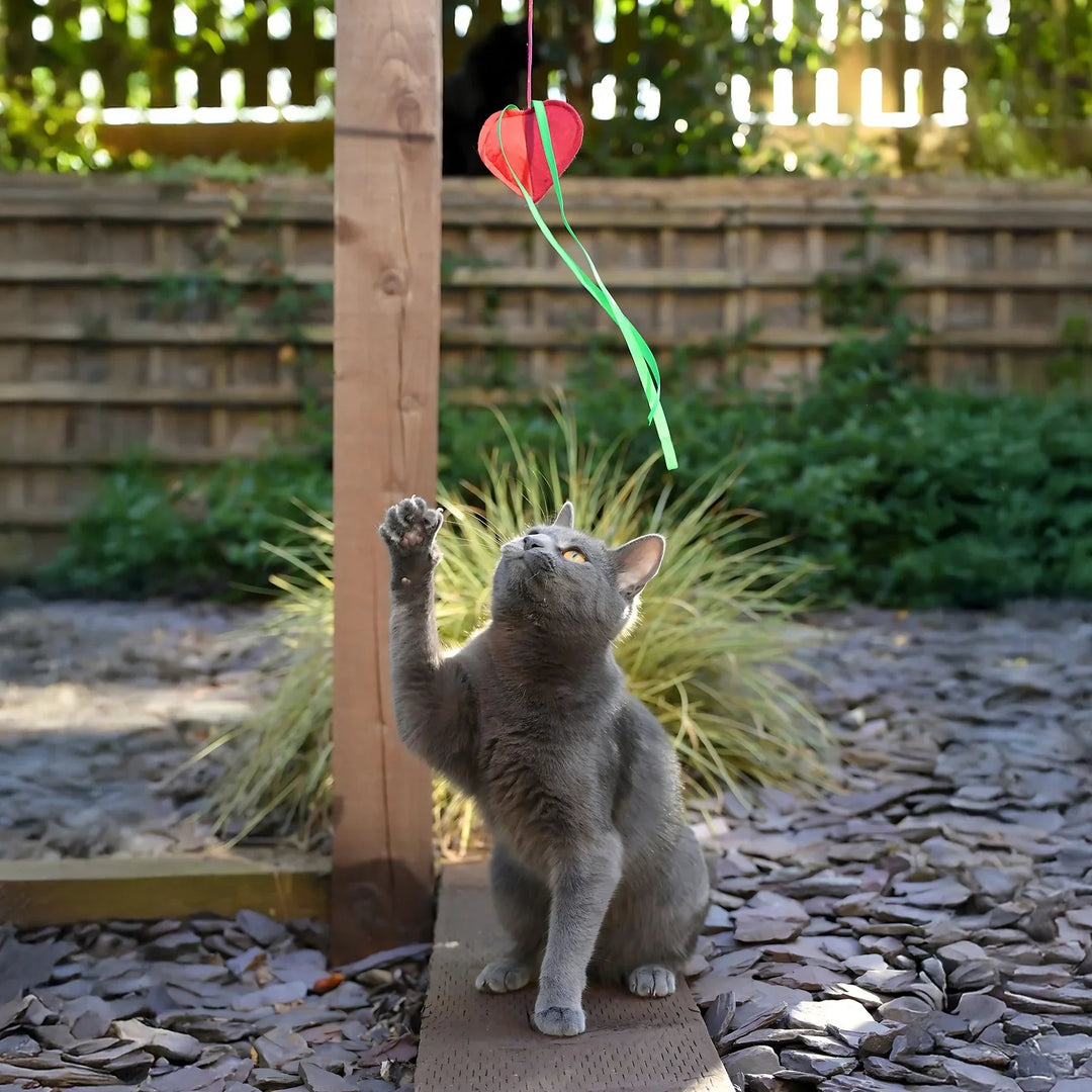 Cath Kidston Hearts & Roses Cat Teaser