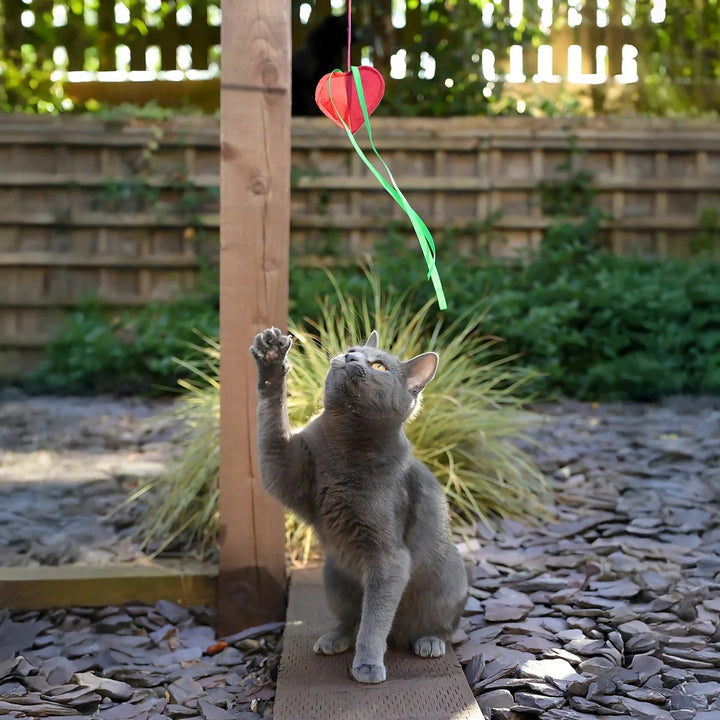 Cath Kidston Hearts & Roses Cat Teaser