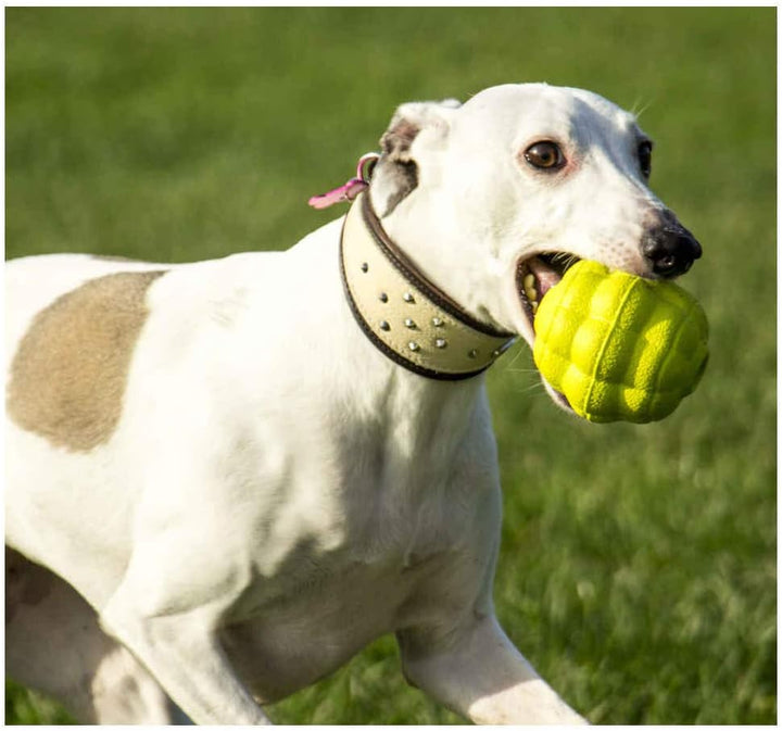 Foaber Bump Tough Dog Toy