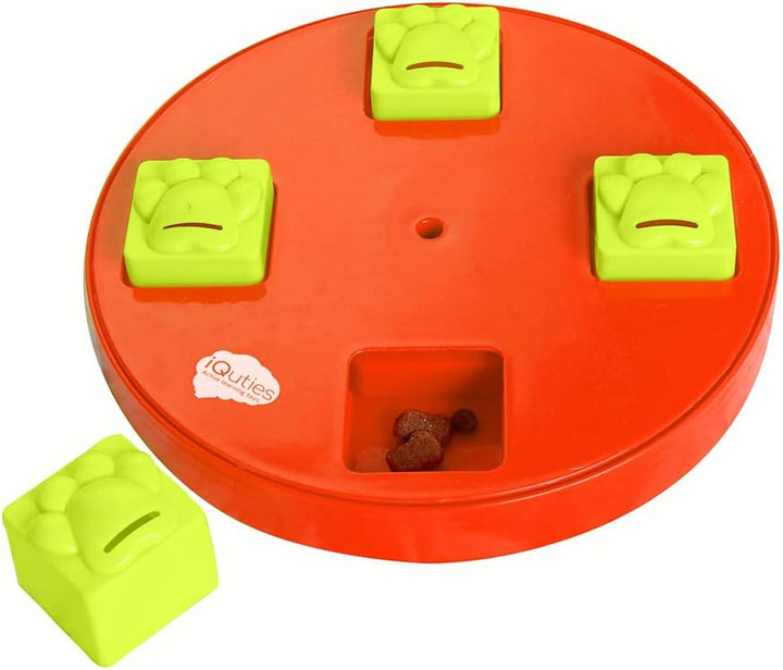 iQuties Active Training Puzzle Wheel