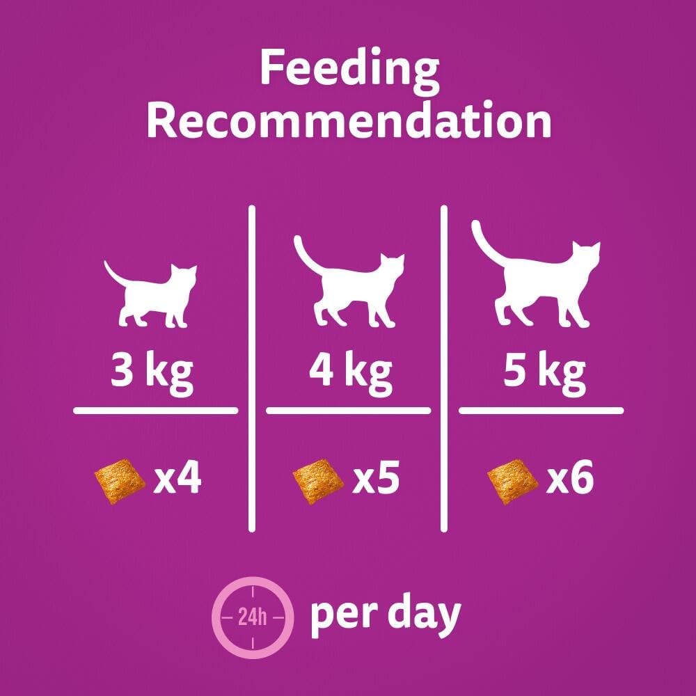 Whiskas Groom & Care Chicken 45G
