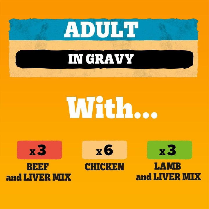 Pedigree Adult Dog Mixed Selection In Gravy 400g, 12Pk