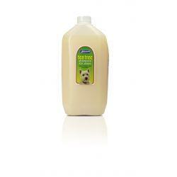 Johnson's Tea Tree Shampoo 5ltr