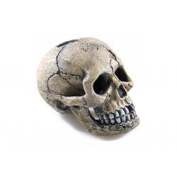 Classic Ornament Spooky Skull 8.5cm