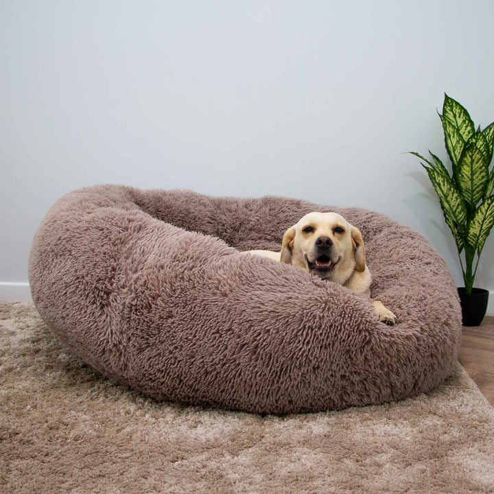Ancol GIANT Super Plush Donut Bed 130cm Oatmeal