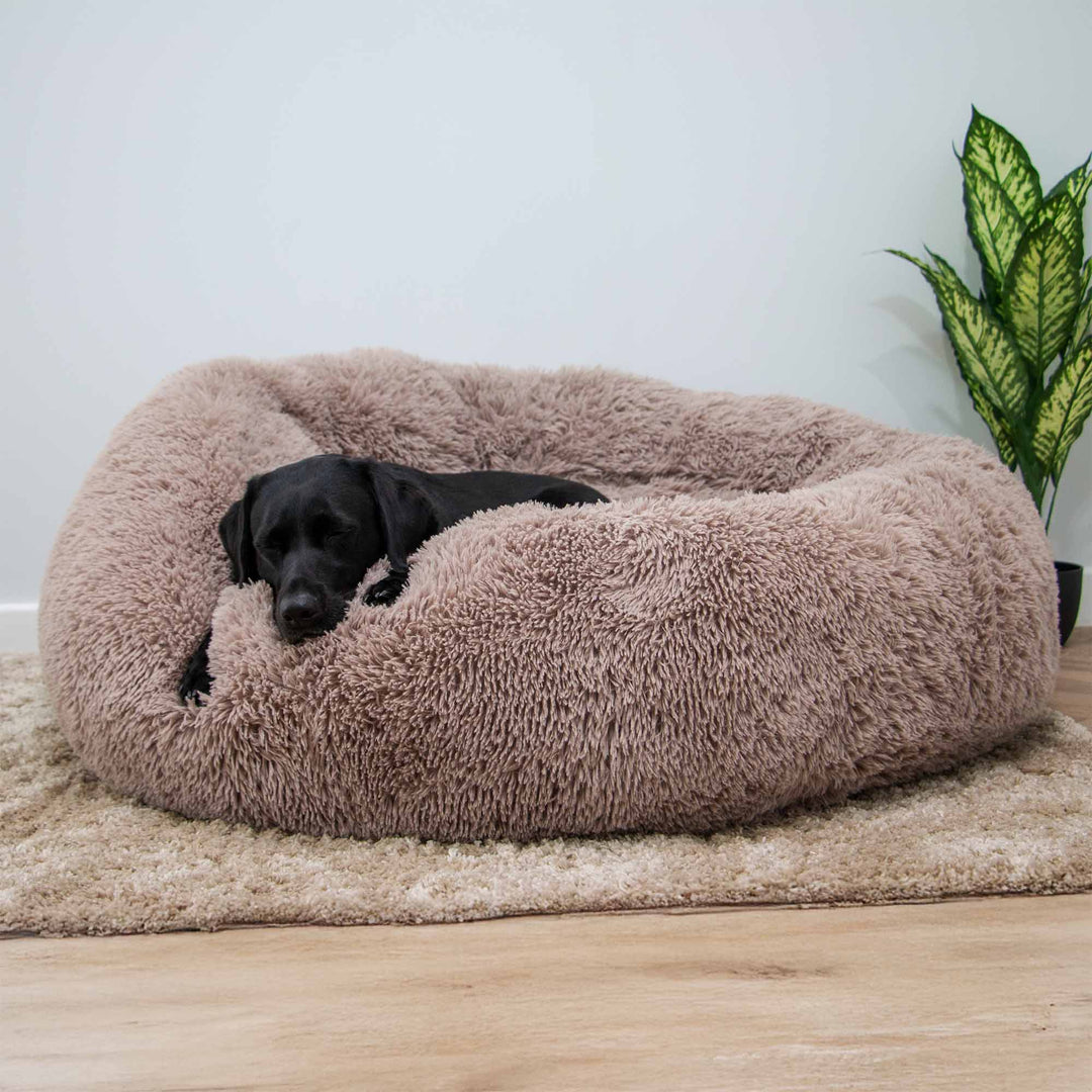 Ancol GIANT Super Plush Donut Bed 130cm Oatmeal