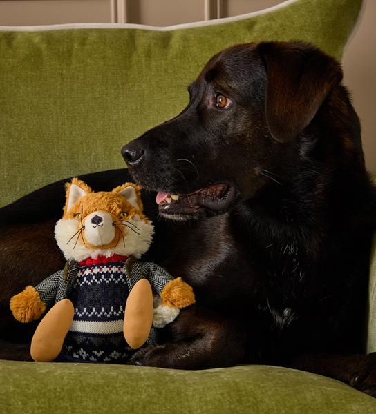 Joules Jonty Tweedy Fox