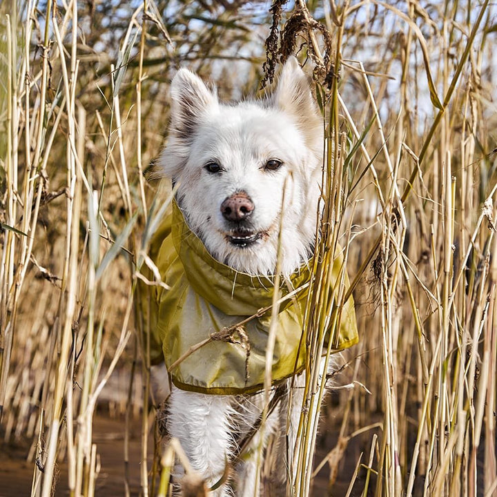 Hurtta Mudventure Reflective Coat Turmeric