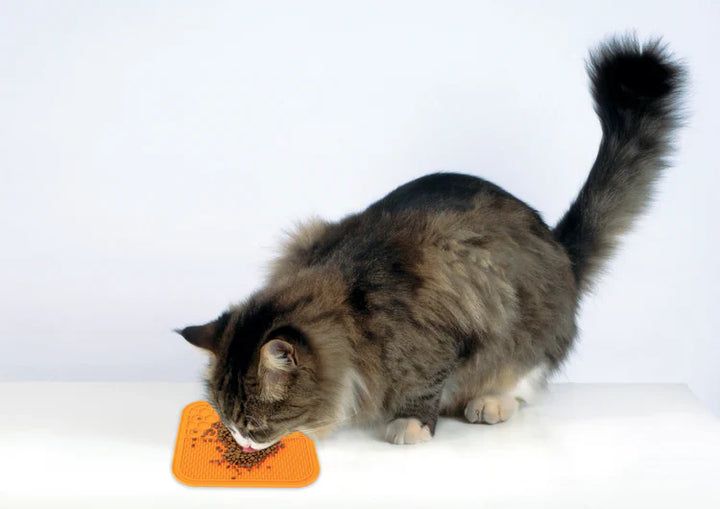 M-PETS Lecca Mat Orange For Dogs And Cats