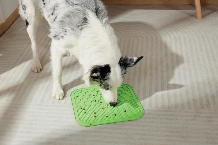 M-PETS Lecca Mat Green For Dogs And Cats