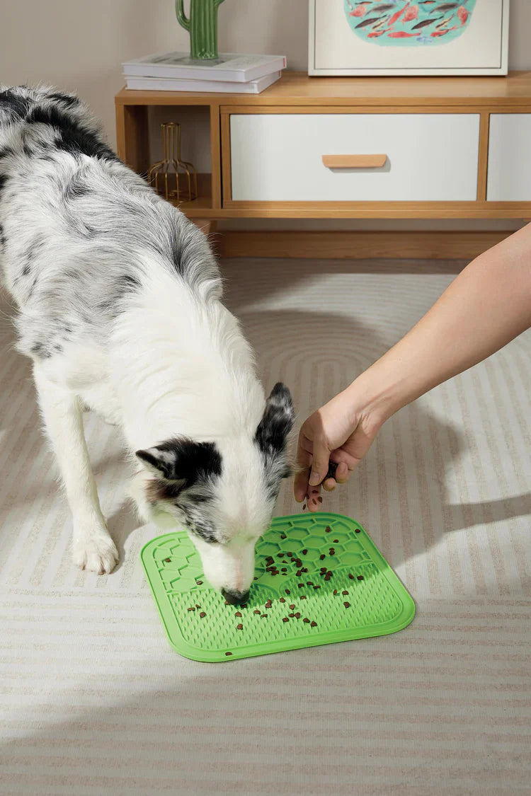 M-PETS Lecca Mat Green For Dogs And Cats