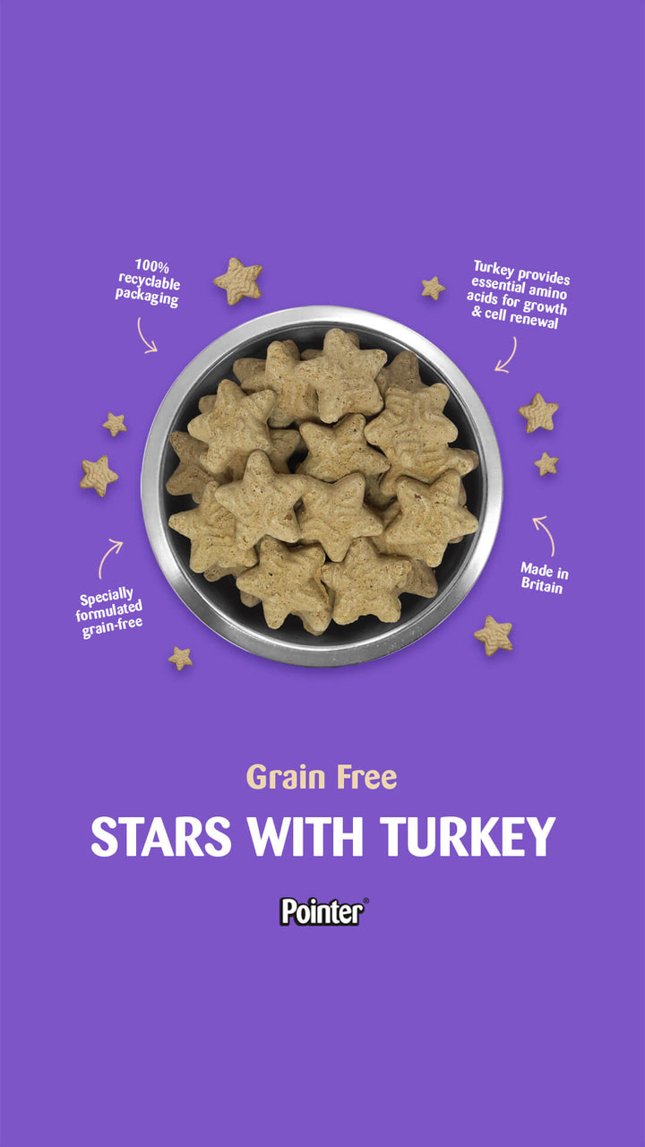 Pointer Grain Free Turkey Stars 400G Buy 2 get one FREE