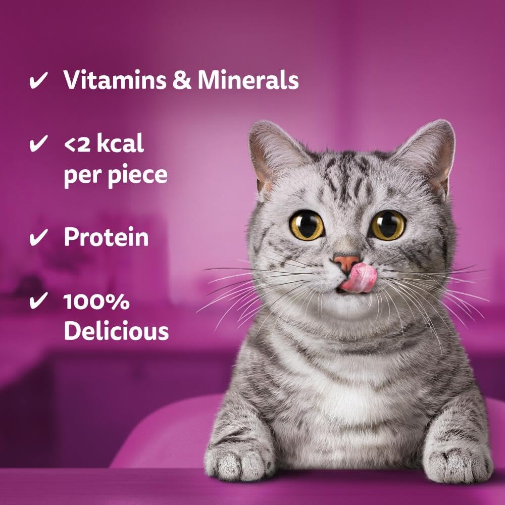Whiskas Temptations Salmon 60G