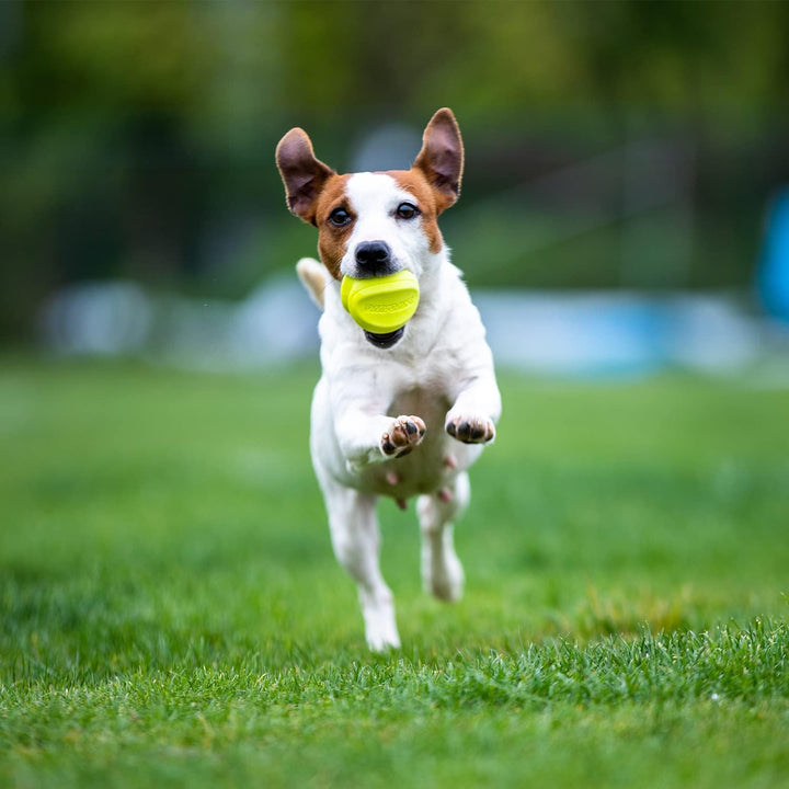 Skipdawg Agility Ball 2pk
