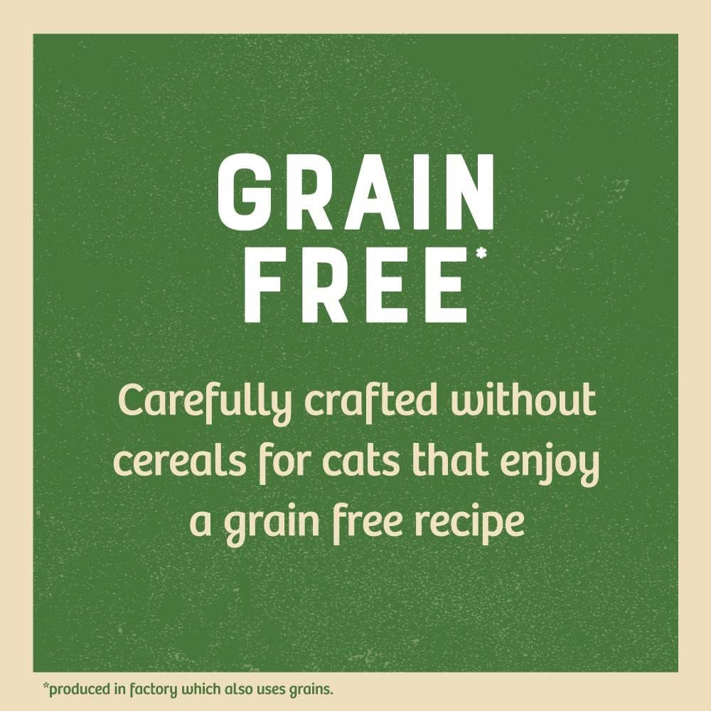 James Wellbeloved Grain Free Senior Cat Wet Food Pouch Chicken in Jelly 12x85g