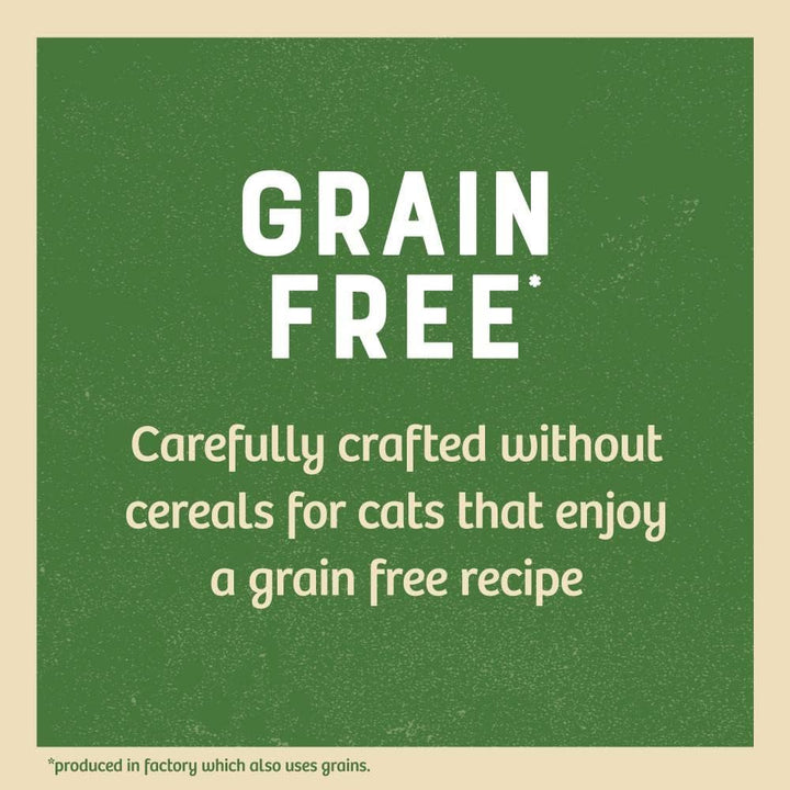 James Wellbeloved Grain Free Senior Cat Wet Food Pouch Chicken in Jelly 12x85g