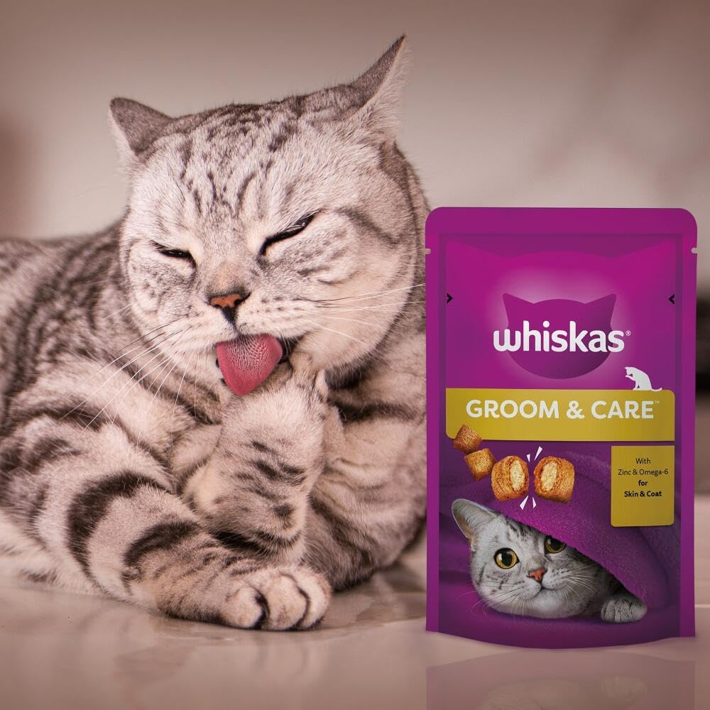 Whiskas Groom & Care Chicken 45G