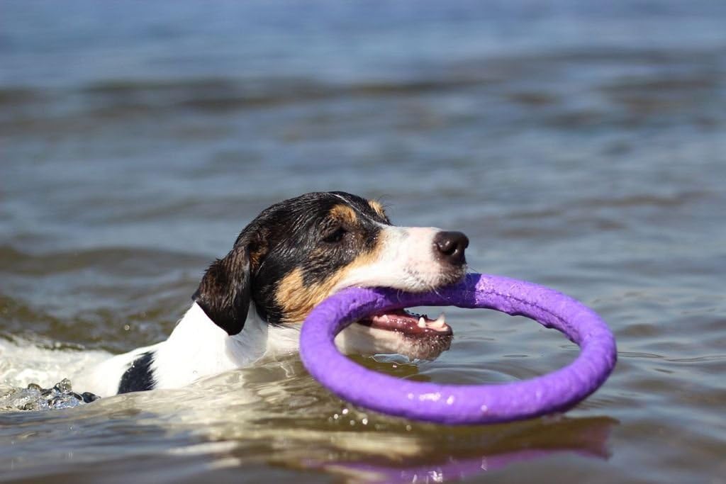 Collar Puller Dog Fitness Tool