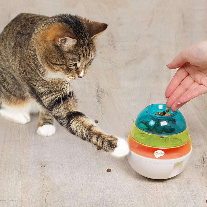 iQuties Active Training Wobbler For Small Dogs & Cats