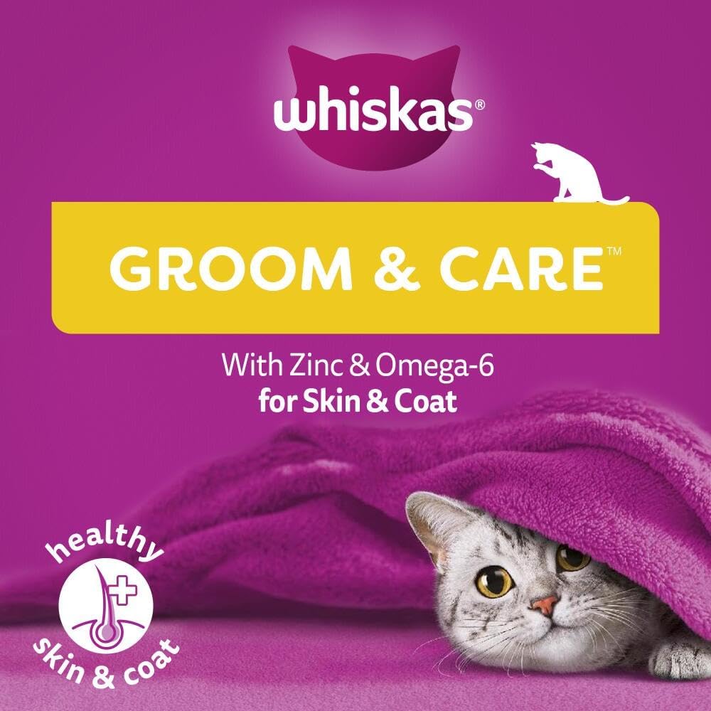 Whiskas Groom & Care Chicken 45G