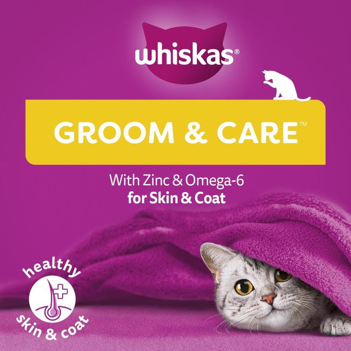 Whiskas Groom & Care Chicken 45G