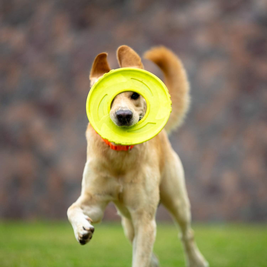 Skipdawg Original Duroflex Disc