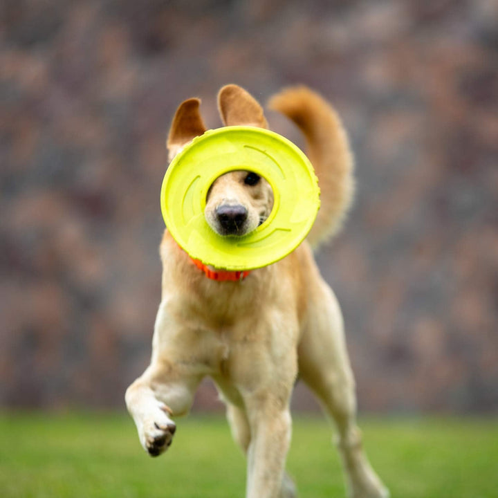 Skipdawg Original Duroflex Disc