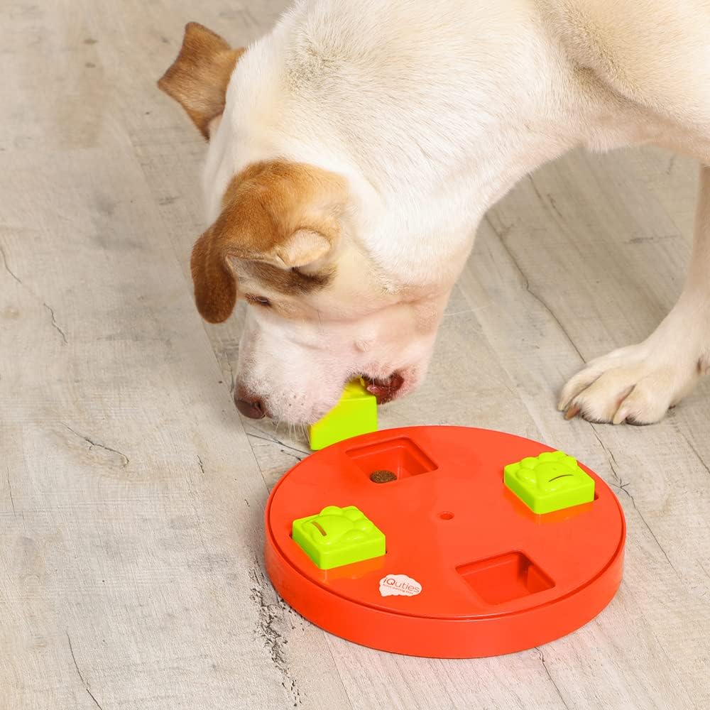 iQuties Active Training Puzzle Wheel
