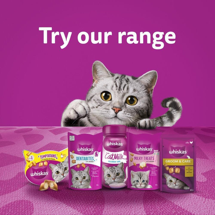 Whiskas Groom & Care Chicken 45G