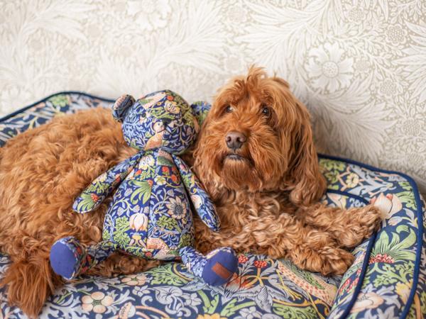 William Morris Strawberry Thief Bear Dog Toy